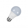 Vany Lâmpada LED A60 Bulbo 9W 6500K